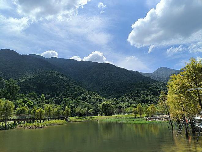 美国宇航员返回地球后遭遇健康问题：太空环境下的挑战与后续观察